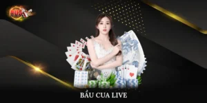 Bầu cua live